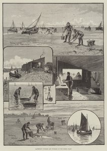 在埃塞克斯海岸收集鸟蛤和 Winkles（雕刻） 作者 英语学校