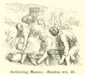 收集Manna，Exodus，xvi，15 作者 英语学校