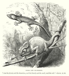 壁虎和变色龙（雕刻） 作者 英语学校