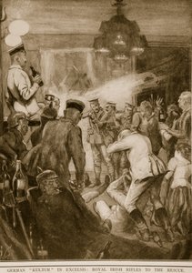 德国文化在Excelsis：皇家爱尔兰步枪救援，1914-19 作者 英语学校
