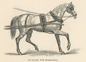 带踢带的 Gig Harness（雕刻） 作者 英语学校