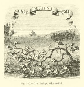 Giovanni Filippo Gherardini 作者 英语学校