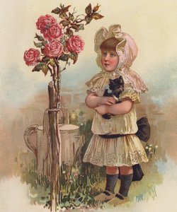 带着一只猫和一棵玫瑰树的女孩 (chromolitho) 作者 英语学校