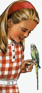 鹦哥的女孩 作者 英语学校