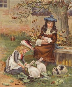 照顾宠物兔的女孩（chromolitho） 作者 英语学校