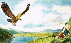 金鹰 作者 英语学校