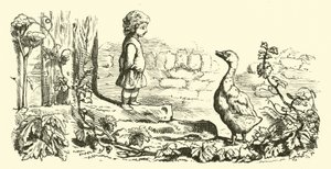 Goosey，goosey gander 作者 英语学校