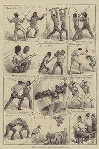 阿尔伯特音乐厅的大突袭（版画） 作者 英语学校