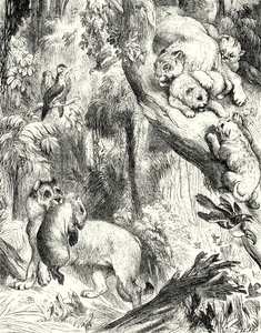 美洲狮群（雕刻） 作者 英语学校