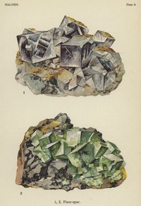 卤化物，萤石（彩色印刷品 作者 英语学校