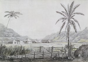 牙买加哈尔斯霍尔，1780年（纸上有石墨） 作者 英语学校