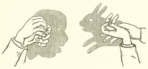 手影 作者 英语学校