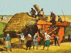 收割小麦 作者 英语学校