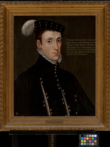亨利-菲茨兰，马尔特拉弗斯勋爵（1538-1556） 作者 英语学校