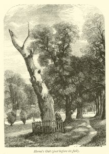 Hernes Oak，就在它倒下之前 作者 英语学校
