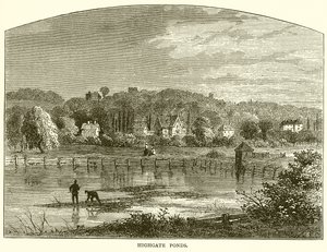Highgate Ponds 作者 英语学校