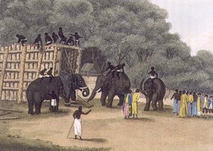 Hindoo Elephant Trap，由Edward Orme出版。 作者 英语学校