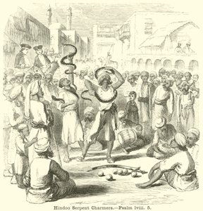 Hindoo Serpent Charmers，诗篇，lviii，5 作者 英语学校