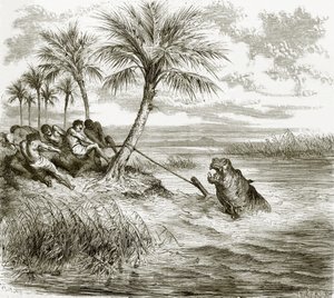 Hippopotamus harpooned 作者 英语学校