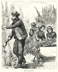 采摘（雕刻） 作者 英语学校