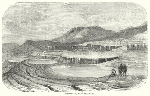 Hotwells, New Zealand (engraving) 作者 英语学校