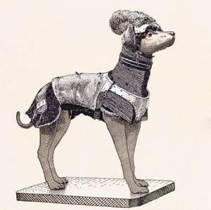 身着防弹衣的猎犬（彩色雕刻） 作者 英语学校