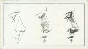如何素描鼻子（平版） 作者 英语学校