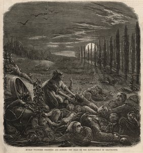 人类秃鹫在格拉维罗特战场上剥光并抢劫死者（雕刻） 作者 英语学校