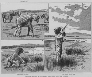 Hunter shooting wildfowl in Scotland disguised as a donkey (engraving) 作者 英语学校