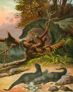 Ichneumon和Crocodile 作者 英语学校