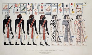 来自底比斯国王墓的插图，由G. Belzoni发现，出版于1820年 作者 英语学校