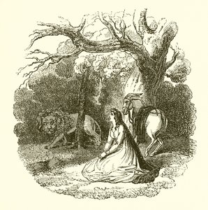 Faery Queene的例证 作者 英语学校