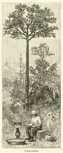 印度橡胶（雕刻） 作者 英语学校