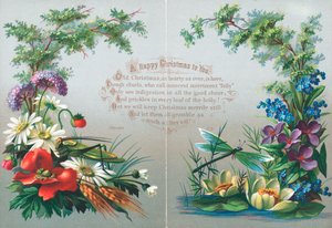 昆虫和鲜花，圣诞贺卡 作者 英语学校
