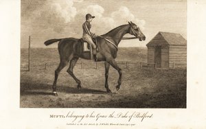Jockey on the celebrated thoroughbred racer Mufti, belonging to his Grace the Duke of Bedford 作者 英语学校