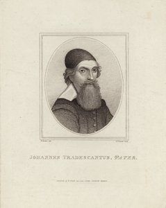 John Tradescantus Pater 作者 英语学校