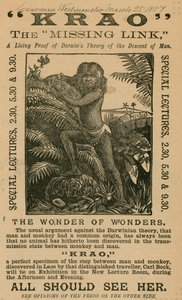 Krao，The Missing Link，于1887年在伦敦威斯敏斯特水族馆展出 作者 英语学校