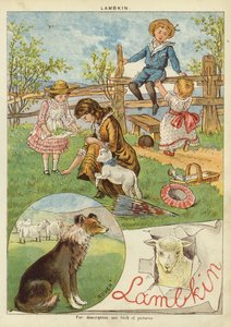羔羊皮 (chromolitho) 作者 英语学校