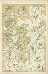 离开自然 作者 英语学校