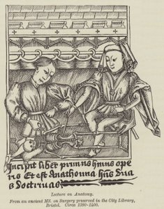 解剖学讲座（雕版画 作者 英语学校
