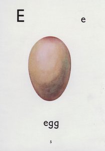 字母 E，鸡蛋（彩色石版画） 作者 英语学校