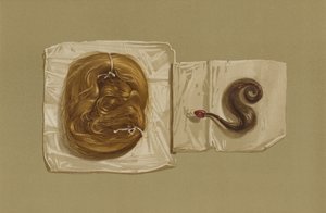 苏格兰女王玛丽的一绺头发，国王查理一世的一绺头发(chromolitho) 作者 英语学校