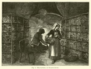 Magnanerie，或饲养室 作者 英语学校