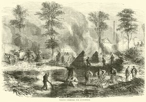 1870年10月，为火药制作木炭 作者 英语学校