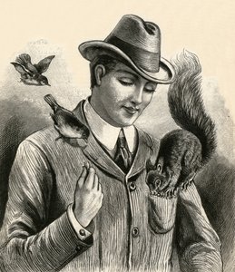 男子喂松鼠和鸟儿 作者 英语学校