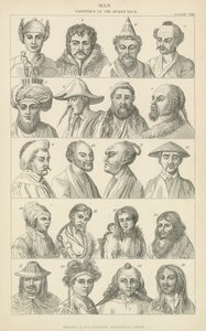 Man. Varieties of the human race (engraving) 作者 英语学校