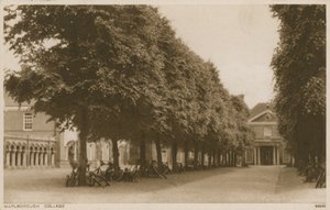 威尔特郡马尔堡学院 作者 英语学校