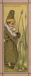 菜单插图：鼠尾草和洋葱（彩色石版画） 作者 英语学校