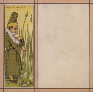 菜单插图：鼠尾草和洋葱（彩色石版画） 作者 英语学校