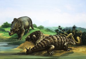 Monoclonius和Scolosaurus 作者 英语学校